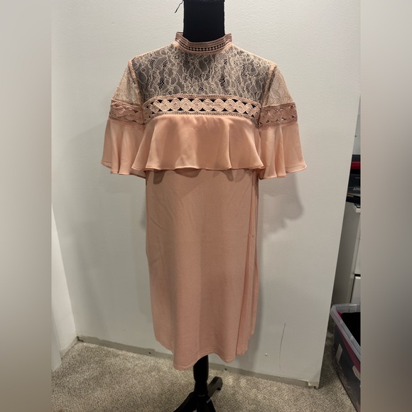Express Sheer Top Shift Dress - Picture 1 of 4